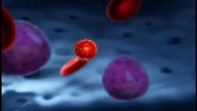 репликация ВИЧ смотреть онлайн