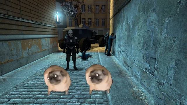 Мопсы танцуют под Apprehension and Evasion Remix из Half Life 2 1 час смотреть онлайн