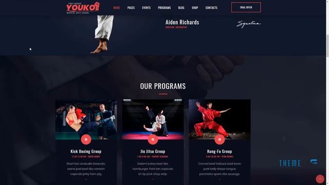 Youko - Martial Arts WordPress Theme Hovik Vern смотреть онлайн