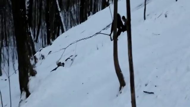Девушка бревно смотреть онлайн