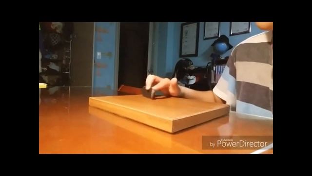 Скейт для пальцев   ручной скейт  Трюки на фингерборде