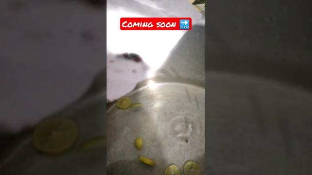 Steam Chicken #chicken смотреть онлайн