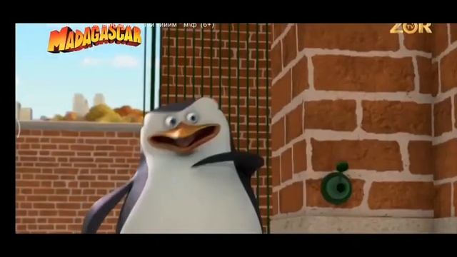 O'zbek Multfilm _madagaskar Pingvinglari