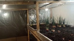 Обогрев теплицы. Самый дешёвый способ.