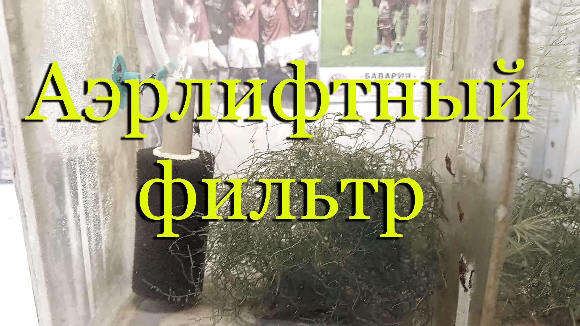 Аэрлифтный фильтр своими руками для аквариума и креветочника из труб ПВХ. смотреть онлайн