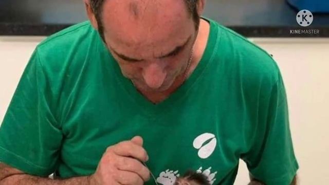 “Мамочка, прости меня!” Детеныша макаки нашли в плачевном состоянии. смотреть онлайн