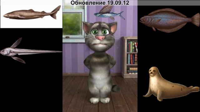 Рыбное место. Новая эра Мнение Барсика№2 смотреть онлайн