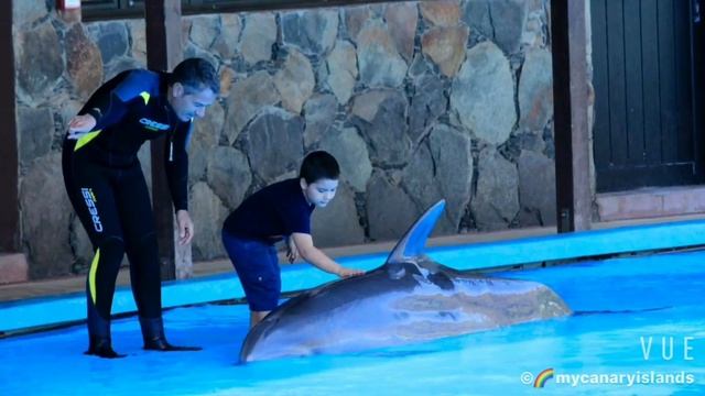Palmitos Park,Gran Canaria,Spain смотреть онлайн