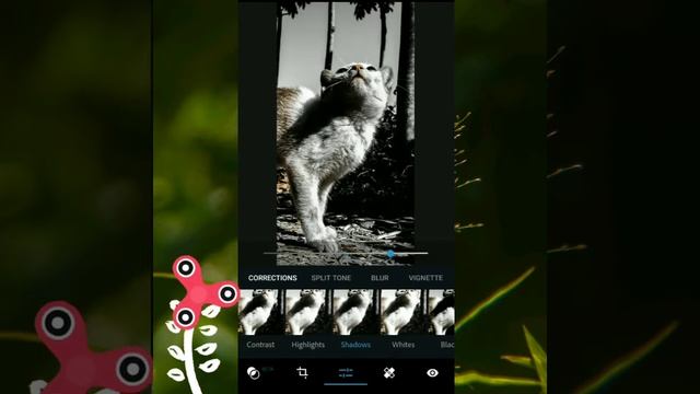 Creative photo editing with photoshop android|Adobe Photoshop express|photography смотреть онлайн