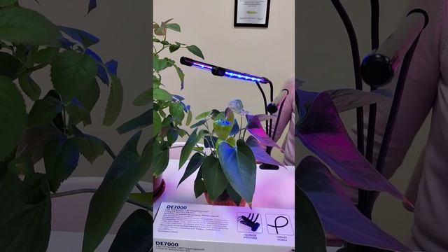Светильник светодиодный для растений DE7000 Feron смотреть онлайн