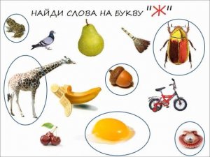 звук и буква Ж