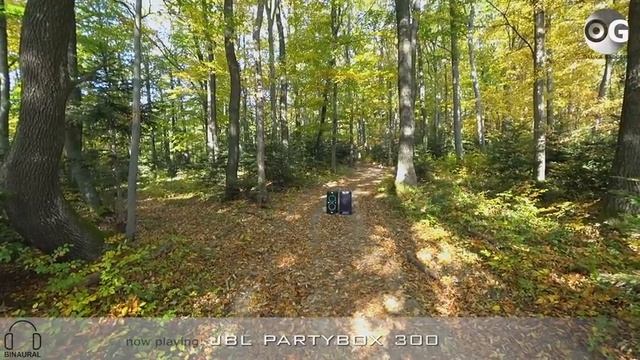 JBL PartyBox vs Sony GTK-XB90 смотреть онлайн