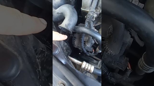 geely ck такой жести я не бачив смотреть онлайн