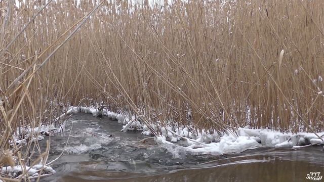 Расслабляющие звуки зимней реки | Звуки природы | Звуки реки | Шум реки | Звуки для сна | Белый шум смотреть онлайн