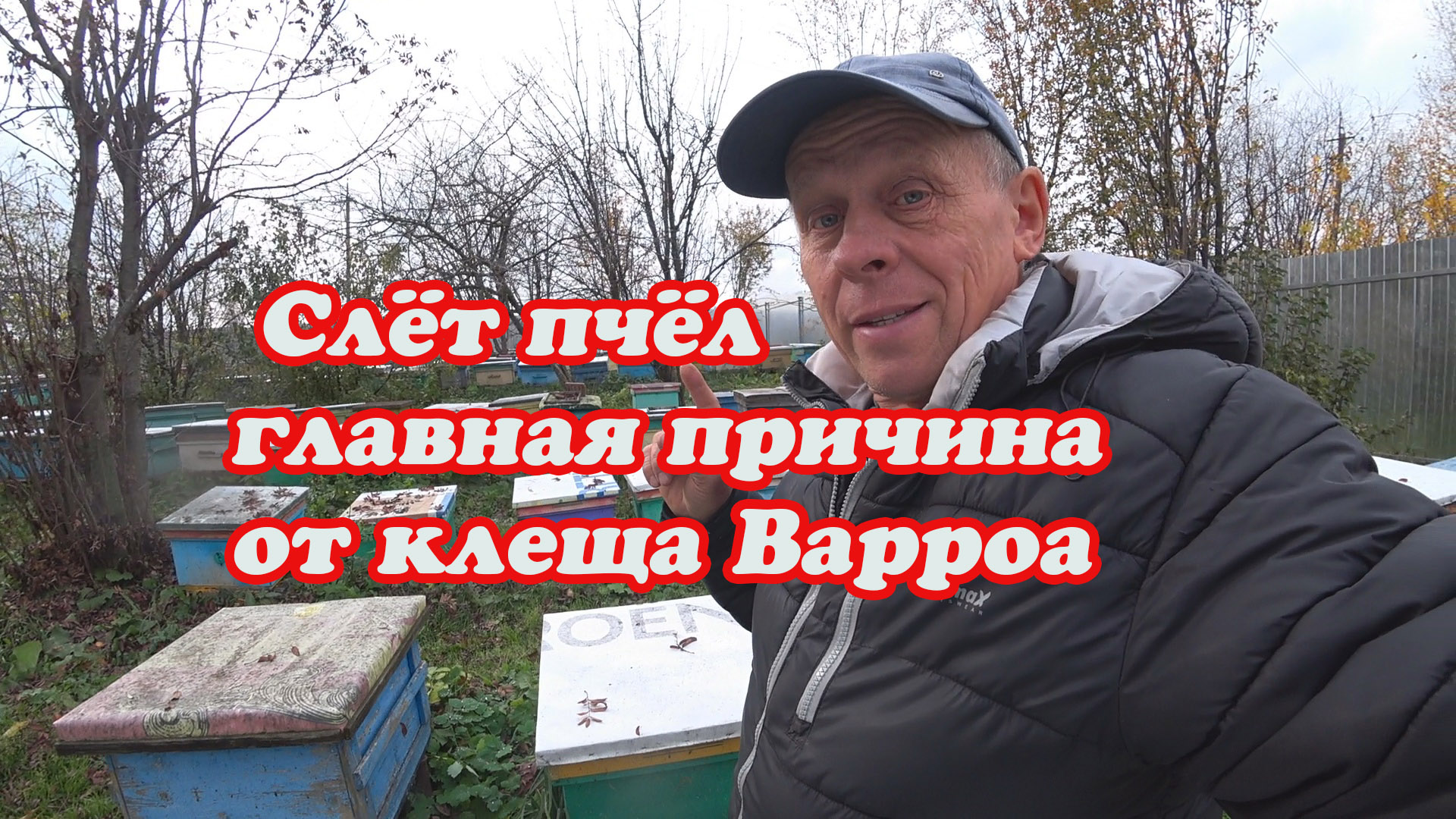 БОРЬБА С КЛЕЩЁМ ВАРРОА, И МОИ ПРАКТИЧЕСКИЕ НАБЛЮДЕНИЯ, УСИЛЕНИЕ СЛАБЫХ ПЧЕЛОСЕМЕЙ. смотреть онлайн