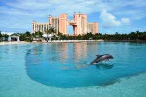 «Багамские Острова» ИМПРОВИЗАЦИЯ фортепиано композитор Виктор Анохин #instrumentalmusic #музыка