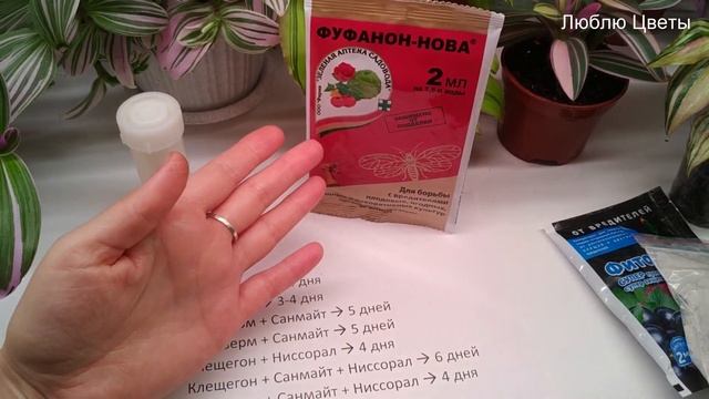 Моя история борьбы с голландским паутинный клещом. Часть № 2/2 смотреть онлайн