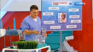 О самом главном. Доктор Мясников. Сколько нужно пить воды