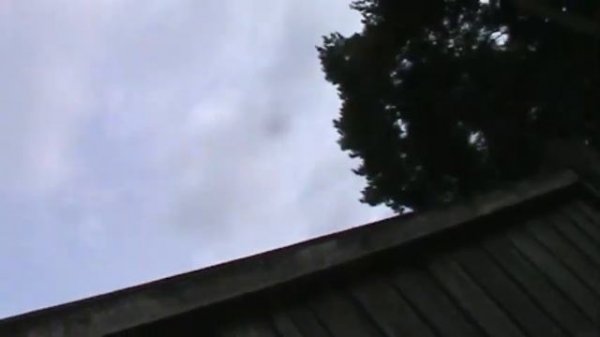 polo 1.2 cbza  fault code P0171 ,P1141, (codes missing I believe)plus update on garage sale