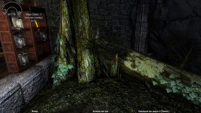 Skyrim Дракон Мирмулнир - чучело на экспозиции музея - берлоги Довакина смотреть онлайн