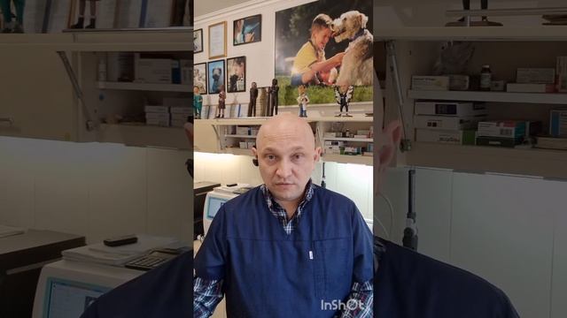 Творческие Проекты