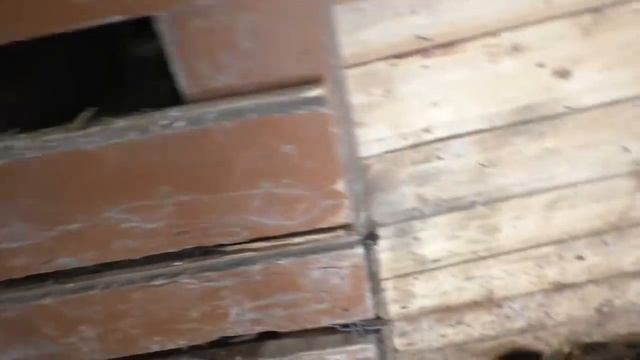 Дела житейские \ Покупки \ Борьба с навозом смотреть онлайн