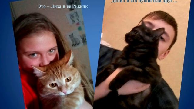 Кошкин дом смотреть онлайн