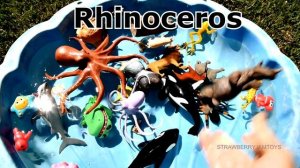 Sea Animals Toys Baby Mom Learn Animals Names Education Toys for Kids