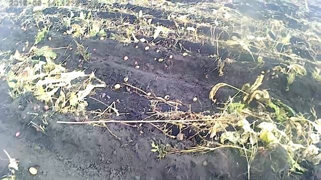 остатки от грядки смотреть онлайн