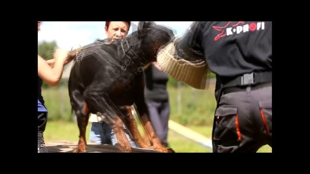 Training Livonija Baron Piter Pen (Ливония Барон Питер Пен) смотреть онлайн