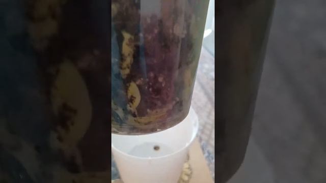 13 августа 2022 г.новые цветочные приобретение смотреть онлайн