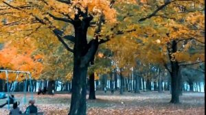 Бабье лето  Красавица осень