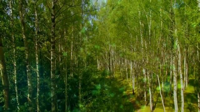 С праздником Святой Троицы! смотреть онлайн