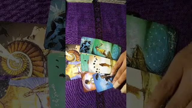 ❤️🔥Срочное послание от Вселенной 🤓🍀Что произойдет в ближайшее время! #срочно #таро #тарорасклад смотреть онлайн