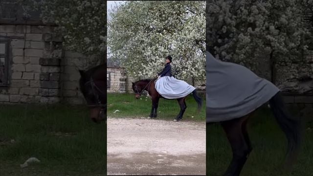 Свечка. Верховая езда смотреть онлайн