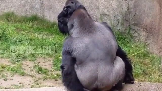 Ну что здесь сказать? смотреть онлайн