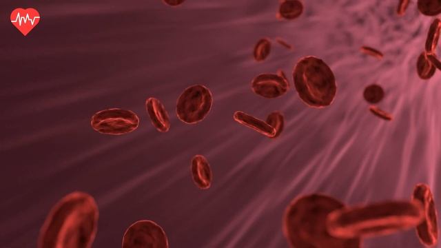 Вот Что будет с ВАШИМ Телом, Если Приседать Каждый День по 100 аз? 8 гарантированных результатов! смотреть онлайн