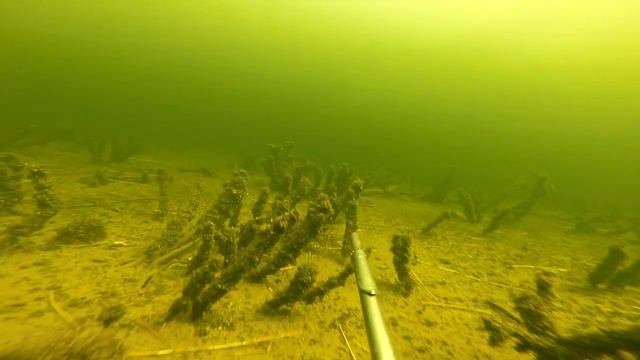 Подводная охота.Праздник души! смотреть онлайн