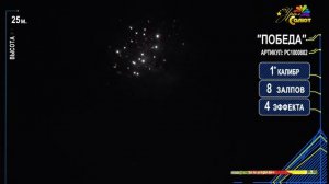 Победа (1х8)