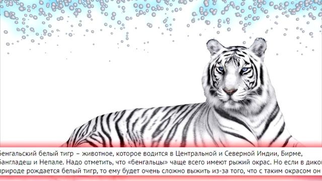 PW на телефоне, НОВЫЕ ТАНКИ смотреть онлайн