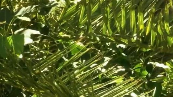 podary mne vecnuiu lubov подари мне вечную любовь