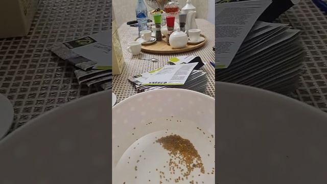 20 марта посадка томатов лоджей смотреть онлайн