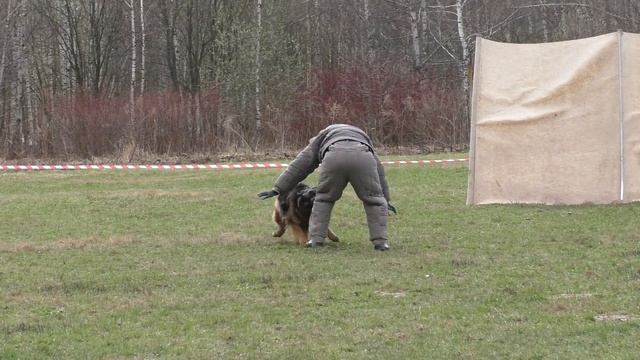 Большой Русский Ринг. 23.04.2016 г. (камера 2).