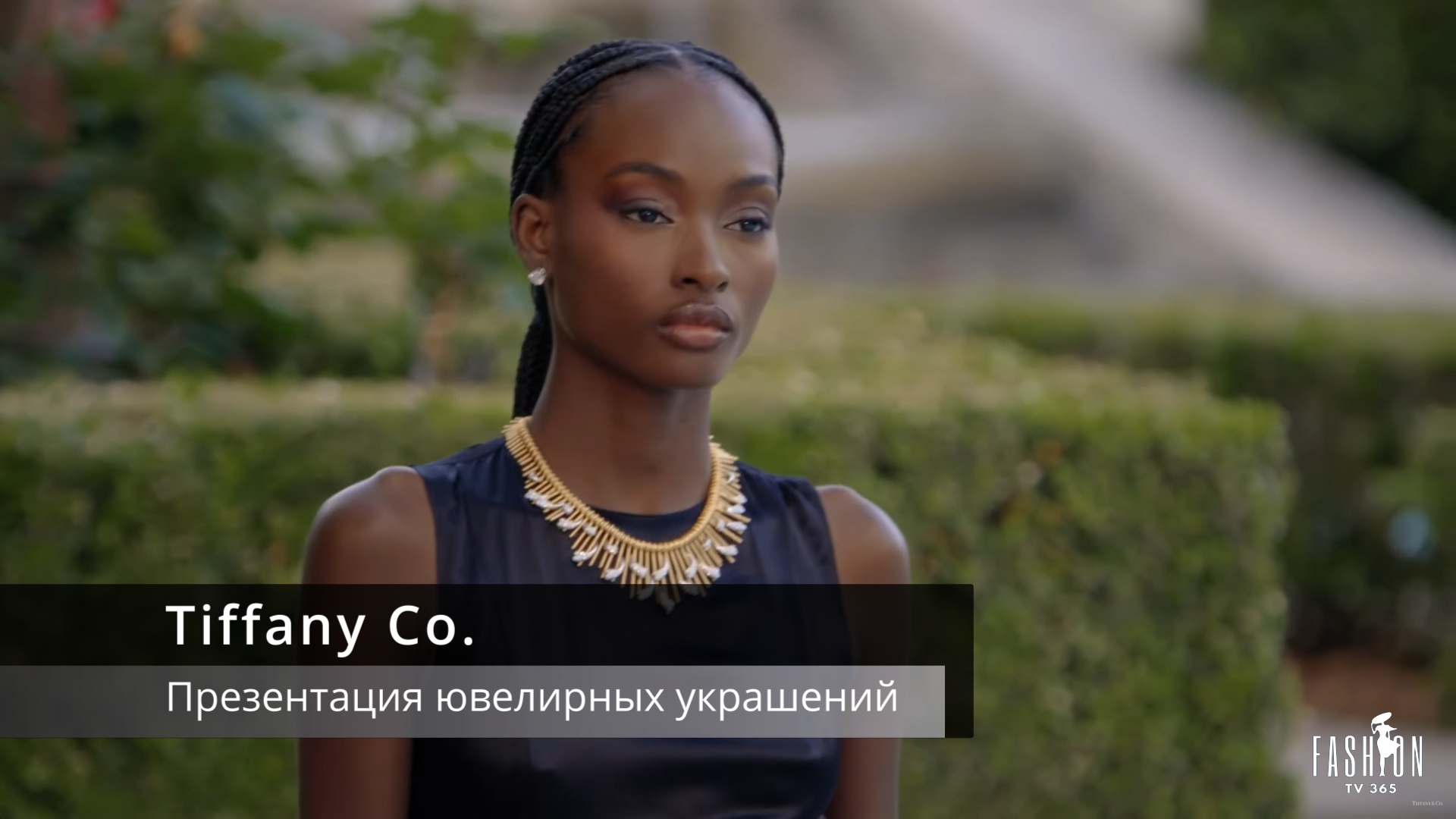 Tiffany Co. —Презентация ювелирных украшений Tiffany Céleste Синяя книга 2024