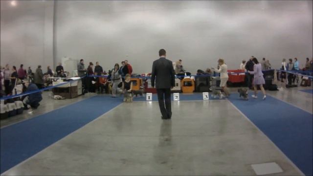 Евразия 2 сравнение сук на резерв смотреть онлайн