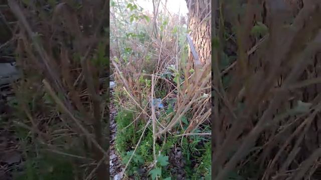 Запорожье,Люди опомнитесь!!! УБИРАЙТЕ за собой смотреть онлайн