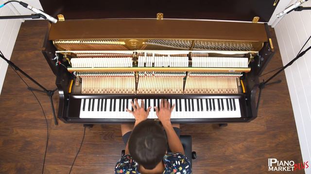 YAMAHA P22SW Live Video смотреть онлайн