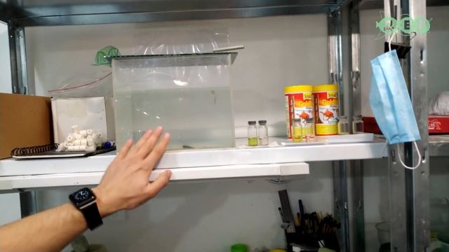 КРУТЕЙШАЯ РАЗВОДНЯ С НОВЫМИ ТЕХНОЛОГИЯМИ TropFish