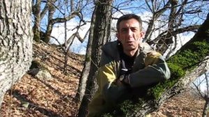 Тренинг Энергии Вселенной Ивана Дешпита