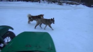 Прокатилась на _Урале_ зимой ,соседи в шоке!